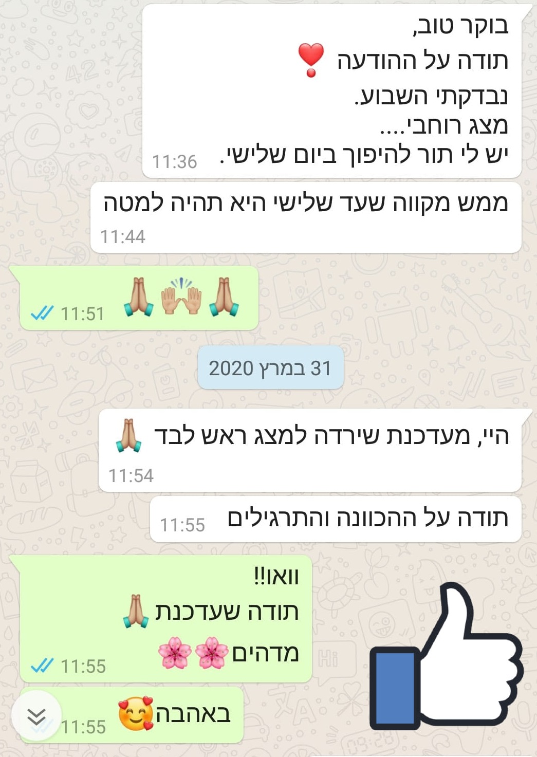 עוברית במצד רוחבי